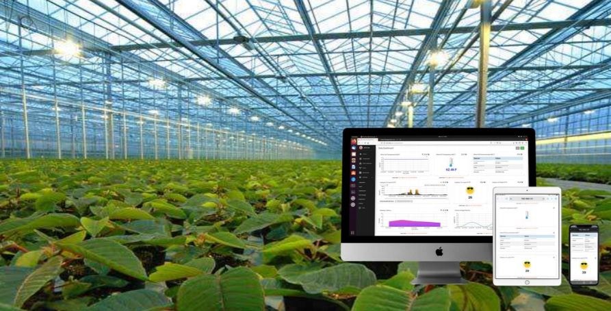 Quickly Deployable Smart Greenhouse Monitoring System with Sensors