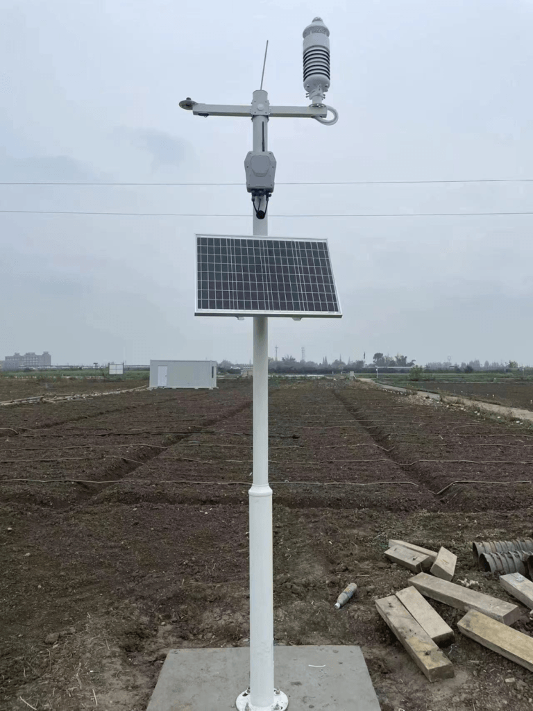 Paddy Field Environmental Monitoring for Rice Pest and Disease Risk Forecasting