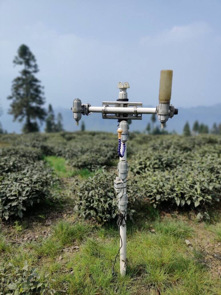 Smart Agriculture in Mengding Mountain to Monitor Key Environmental Data with SenseCAP LoRaWAN for Increasing Efficiency and Customer Trust