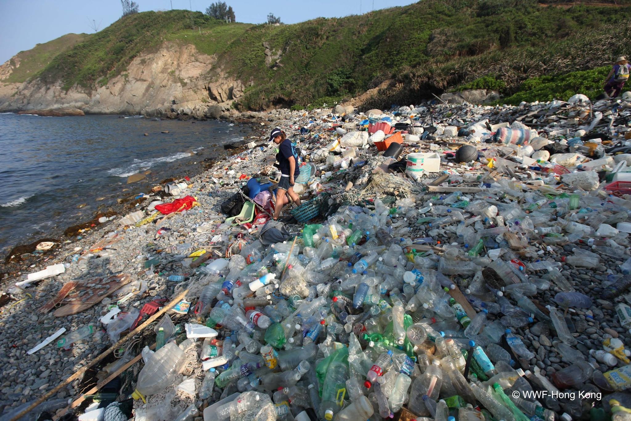 Plastic Waste Collection