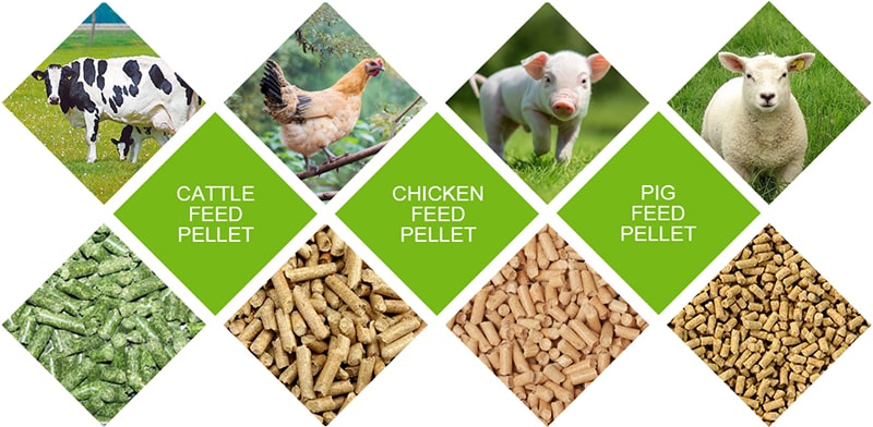 Quality Livestock Feeds