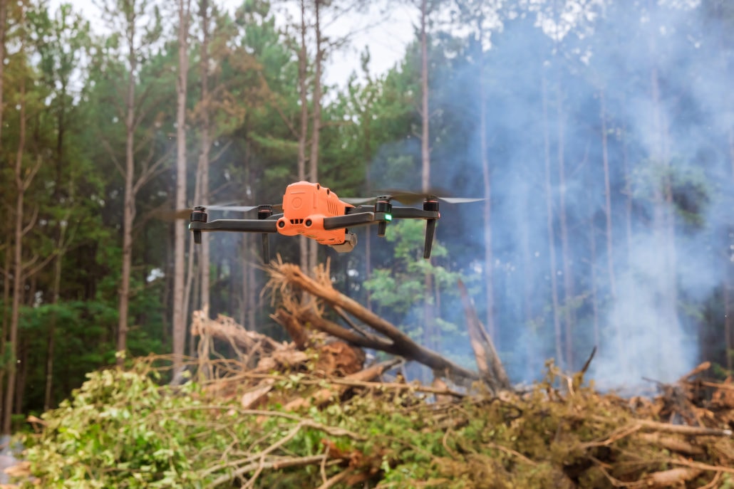Drone surveillance in forest environment