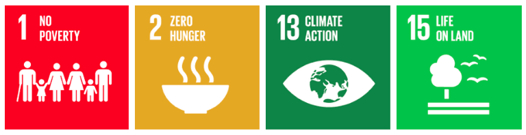 SenseCAP wireless Sensors contribute to SDGSs