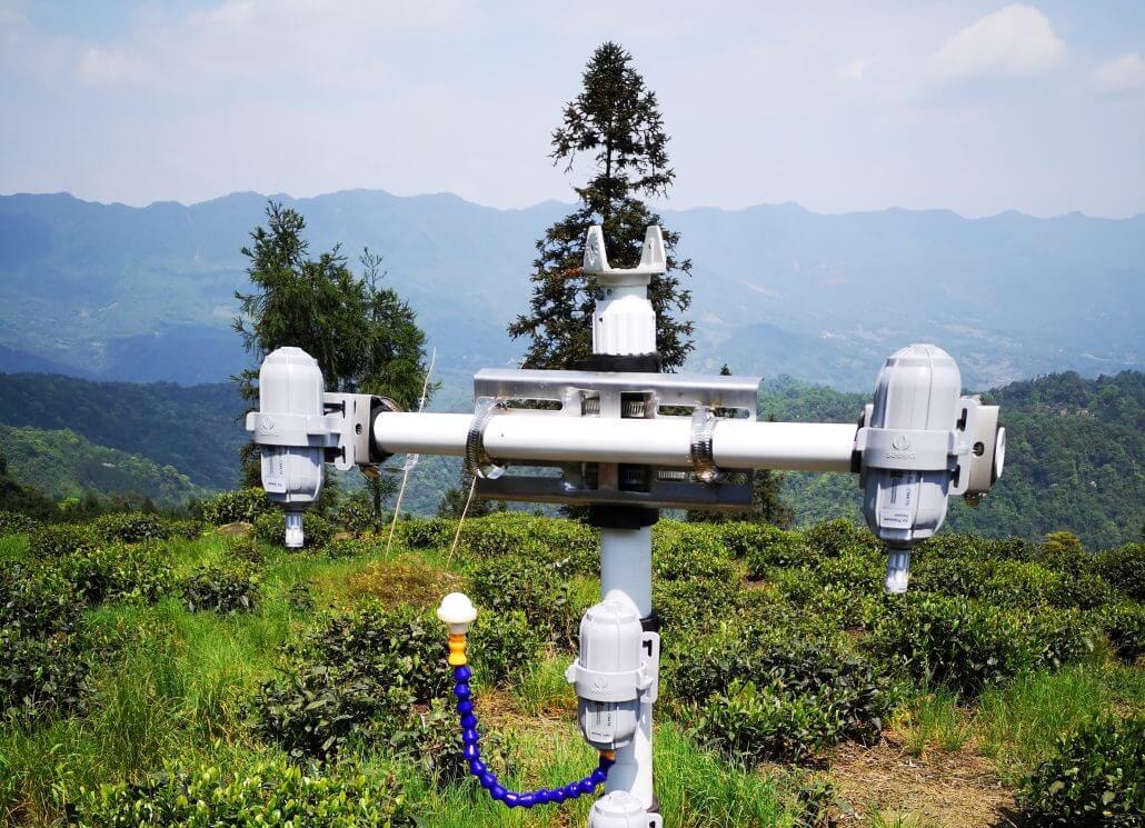 SenseCAP LoRaWAN wireless sensors deployed in the tea plantation