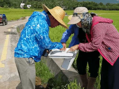 Rice monitoring solution overview