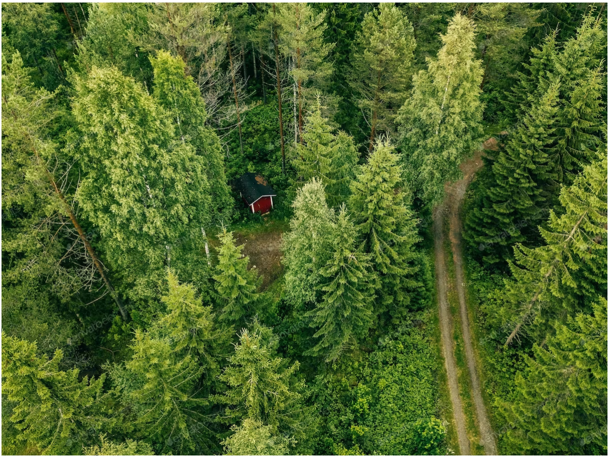 Handheld Monitoring System for Forest Patrol