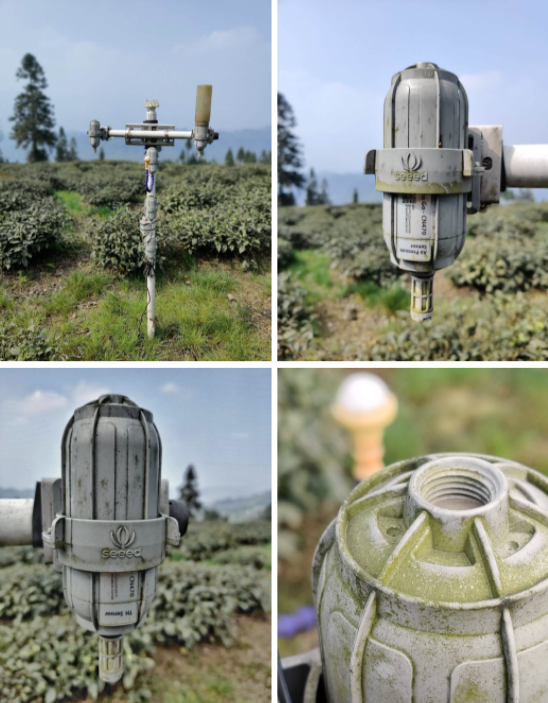 Smart Tea Plantation in Mengding Mountain Enabled by SenseCAP LoRaWAN to Augment Resource Efficiency and Customer Trust for SDGs