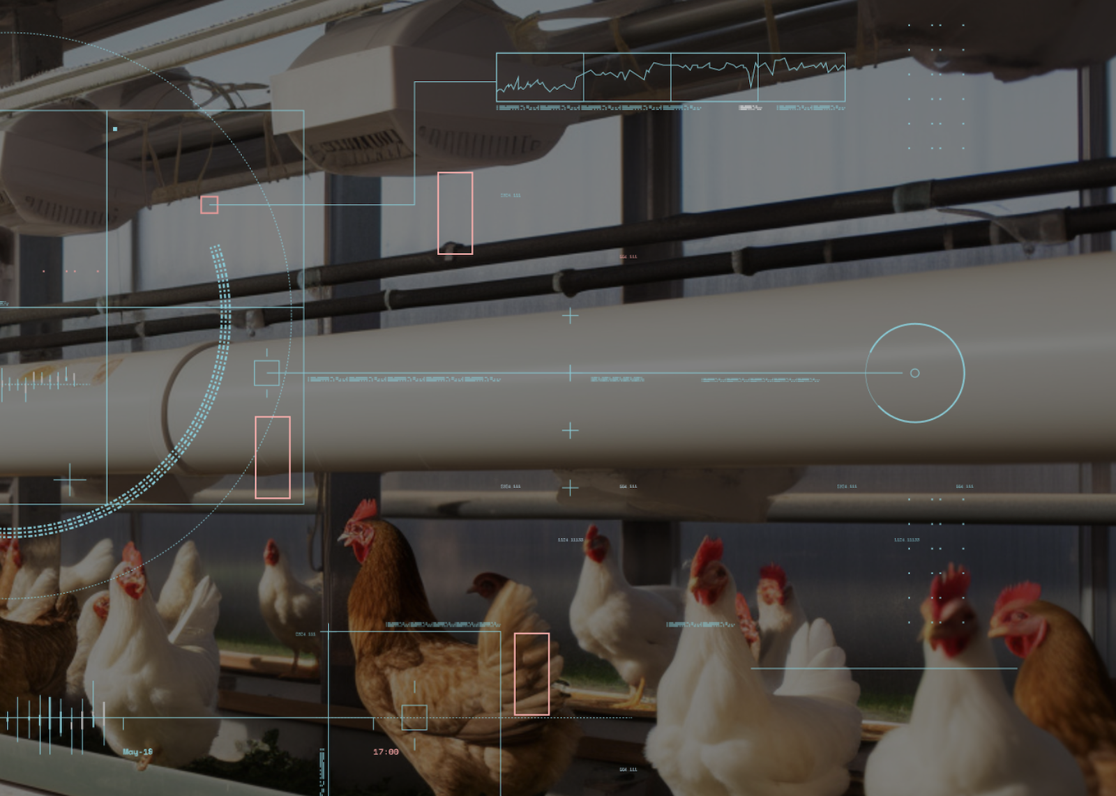 Precision Livestock & Poultry Farming