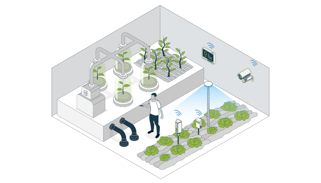 Soil Moisture and Fertility Sensing